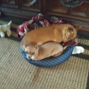 Meet your Posher, Sue